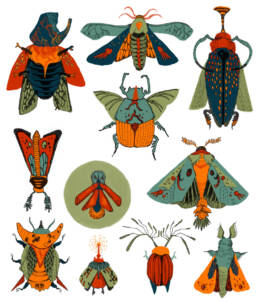 Colorful drawing of rows of cute bugs